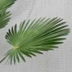 Aanbiedingen Tuin Verrassing Winkel -Aanbiedingen Tuin Verrassing Winkel 20131025101745 10 1