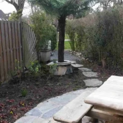 Grote Boomvaren (Dicksonia Antarctica) -Aanbiedingen Tuin Verrassing Winkel dicksonia antartica 1