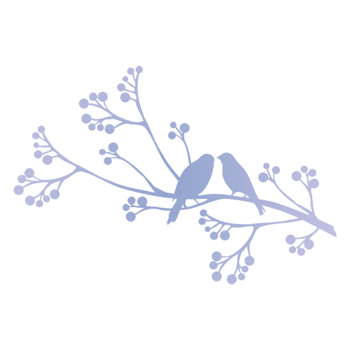 Aanbiedingen Tuin Verrassing Winkel